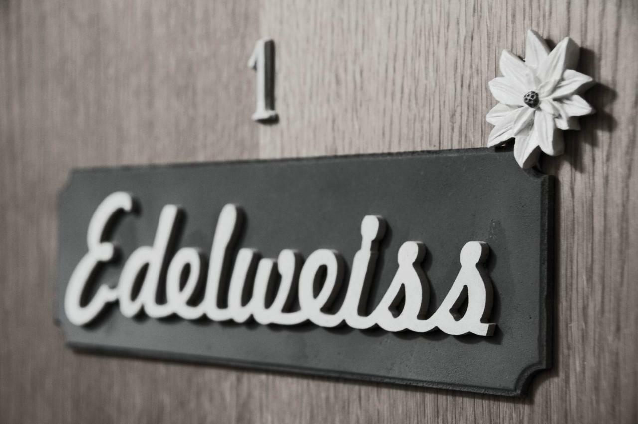 צל-אם-זי Apartment Edelweiss מראה חיצוני תמונה